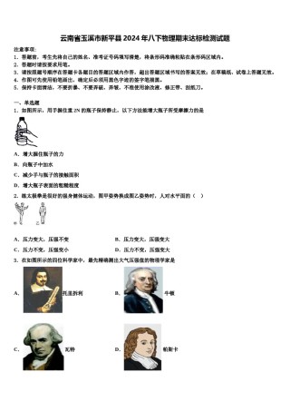 云南省玉溪市新平县2024年八下物理期末达标检测试题含解析.doc