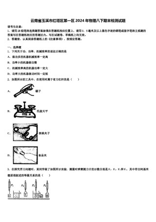 云南省玉溪市红塔区第一区2024年物理八下期末检测试题含解析.doc