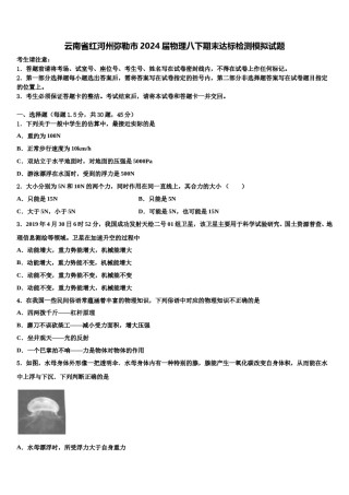 云南省红河州弥勒市2024届物理八下期末达标检测模拟试题含解析.doc