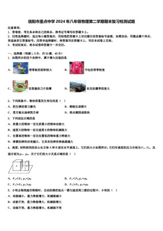 信阳市重点中学2024年八年级物理第二学期期末复习检测试题含解析.doc