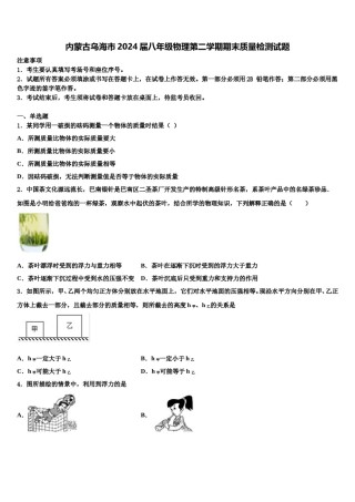 内蒙古乌海市2024届八年级物理第二学期期末质量检测试题含解析.doc