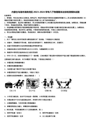 内蒙古乌海市海勃湾区2023-2024学年八下物理期末达标检测模拟试题含解析.doc