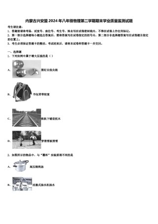 内蒙古兴安盟2024年八年级物理第二学期期末学业质量监测试题含解析.doc