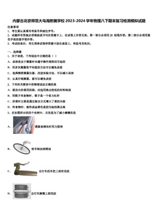 内蒙古北京师范大乌海附属学校2023-2024学年物理八下期末复习检测模拟试题含解析.doc