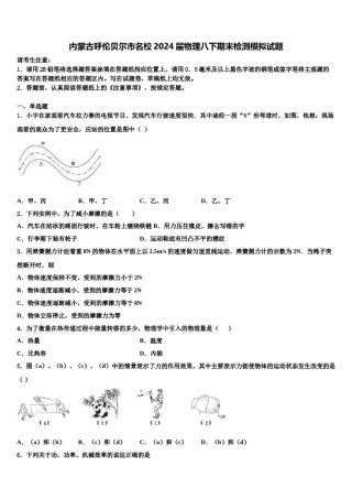 内蒙古呼伦贝尔市名校2024届物理八下期末检测模拟试题含解析.doc