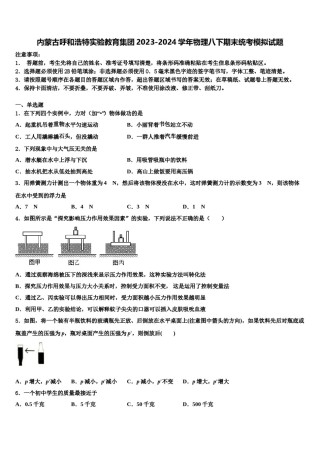 内蒙古呼和浩特实验教育集团2023-2024学年物理八下期末统考模拟试题含解析.doc