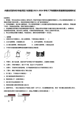 内蒙古巴彦淖尔市临河区八校联盟2023-2024学年八下物理期末质量跟踪监视模拟试题含解析.doc
