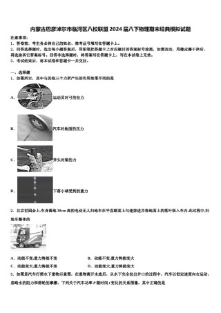 内蒙古巴彦淖尔市临河区八校联盟2024届八下物理期末经典模拟试题含解析.doc
