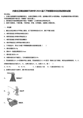 内蒙古正镶白旗察汗淖中学2024届八下物理期末综合测试模拟试题含解析.doc