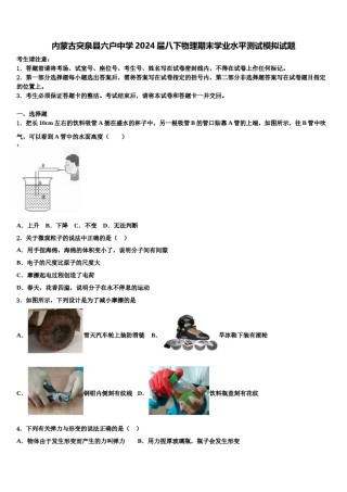 内蒙古突泉县六户中学2024届八下物理期末学业水平测试模拟试题含解析.doc