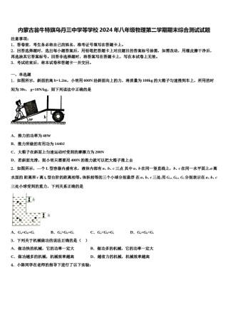 内蒙古翁牛特旗乌丹三中学等学校2024年八年级物理第二学期期末综合测试试题含解析.doc