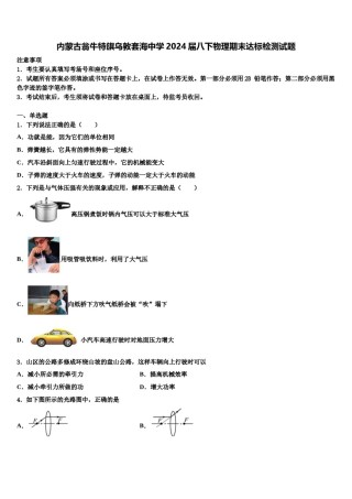 内蒙古翁牛特旗乌敦套海中学2024届八下物理期末达标检测试题含解析.doc