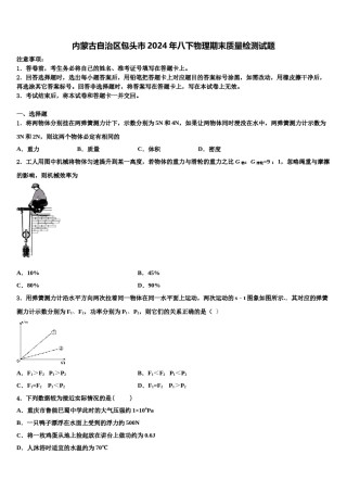 内蒙古自治区包头市2024年八下物理期末质量检测试题含解析.doc