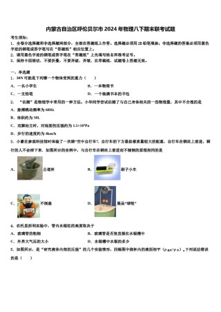 内蒙古自治区呼伦贝尔市2024年物理八下期末联考试题含解析.doc