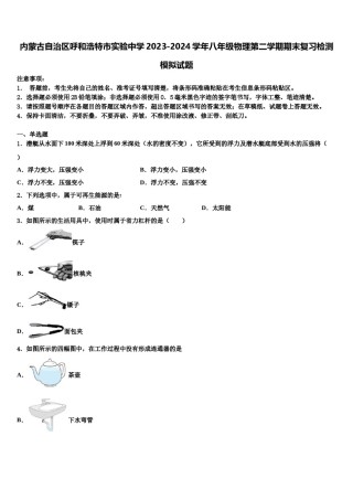 内蒙古自治区呼和浩特市实验中学2023-2024学年八年级物理第二学期期末复习检测模拟试题含解析.doc