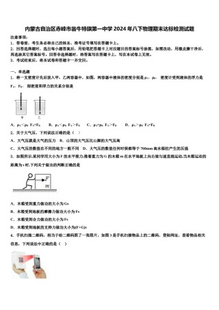 内蒙古自治区赤峰市翁牛特旗第一中学2024年八下物理期末达标检测试题含解析.doc
