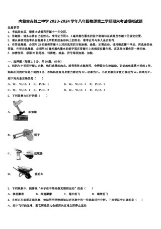 内蒙古赤峰二中学2023-2024学年八年级物理第二学期期末考试模拟试题含解析.doc