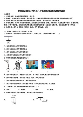内蒙古赤峰市2024届八下物理期末综合测试模拟试题含解析.doc