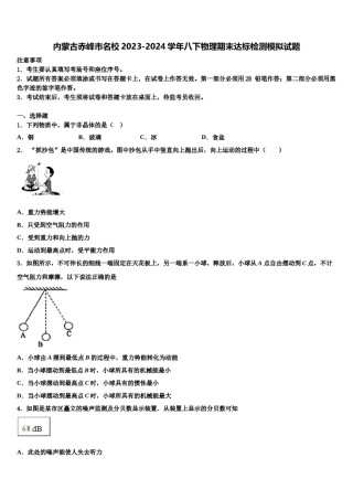 内蒙古赤峰市名校2023-2024学年八下物理期末达标检测模拟试题含解析.doc
