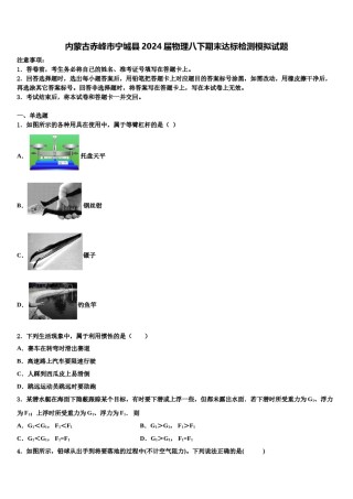 内蒙古赤峰市宁城县2024届物理八下期末达标检测模拟试题含解析.doc