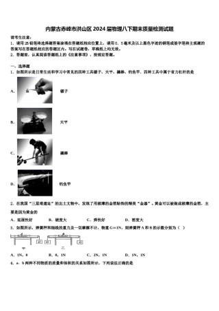 内蒙古赤峰市洪山区2024届物理八下期末质量检测试题含解析.doc
