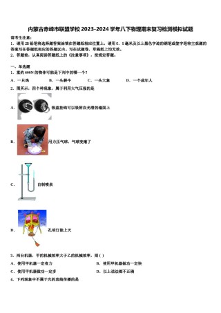 内蒙古赤峰市联盟学校2023-2024学年八下物理期末复习检测模拟试题含解析.doc