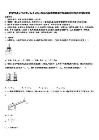 内蒙古通辽市开鲁2023-2024学年八年级物理第二学期期末综合测试模拟试题含解析.doc