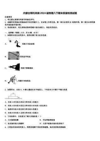 内蒙古鄂托克旗2024届物理八下期末质量检测试题含解析.doc