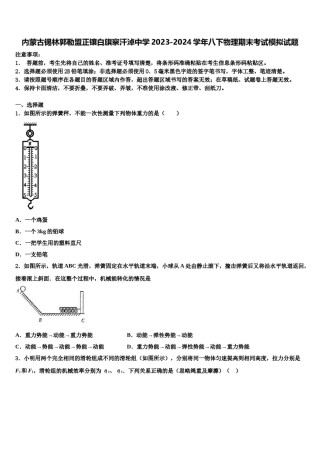 内蒙古锡林郭勒盟正镶白旗察汗淖中学2023-2024学年八下物理期末考试模拟试题含解析.doc