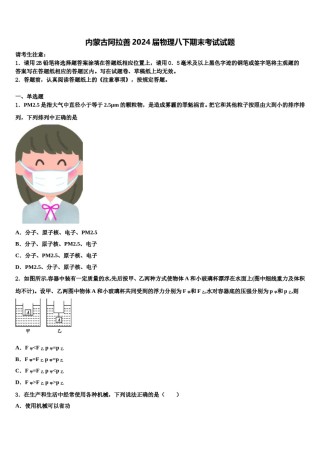 内蒙古阿拉善2024届物理八下期末考试试题含解析.doc