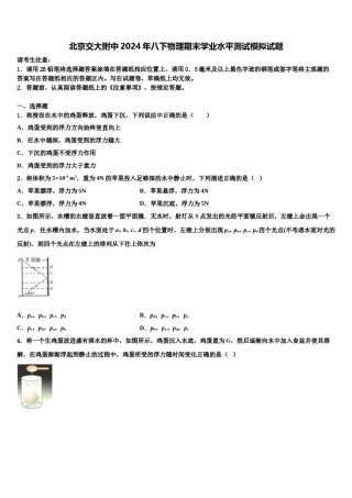 北京交大附中2024年八下物理期末学业水平测试模拟试题含解析.doc