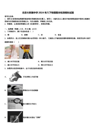 北京大附属中学2024年八下物理期末检测模拟试题含解析.doc