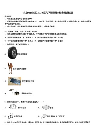 北京市东城区2024届八下物理期末综合测试试题含解析.doc