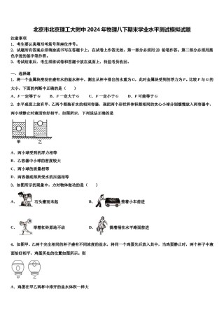北京市北京理工大附中2024年物理八下期末学业水平测试模拟试题含解析.doc