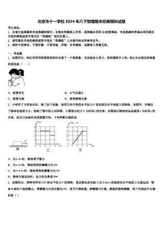 北京市十一学校2024年八下物理期末经典模拟试题含解析.doc