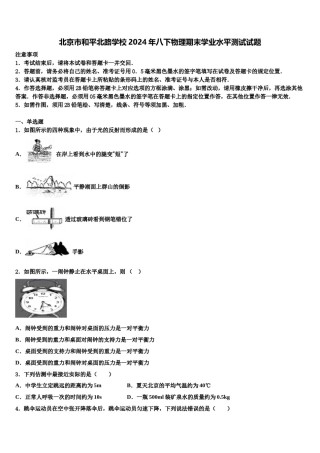 北京市和平北路学校2024年八下物理期末学业水平测试试题含解析.doc