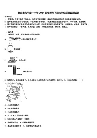 北京市和平街一中学2024届物理八下期末学业质量监测试题含解析.doc