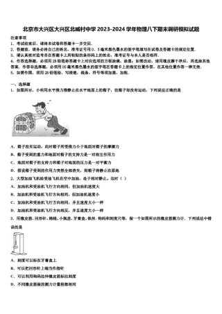 北京市大兴区大兴区北臧村中学2023-2024学年物理八下期末调研模拟试题含解析.doc