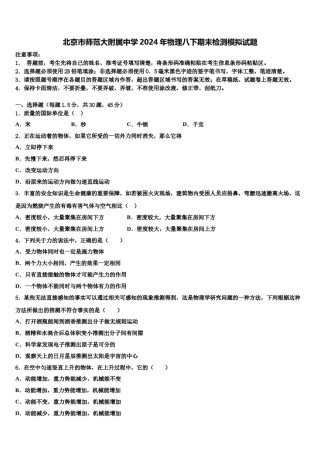 北京市师范大附属中学2024年物理八下期末检测模拟试题含解析.doc