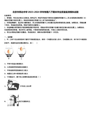 北京市师达中学2023-2024学年物理八下期末学业质量监测模拟试题含解析.doc