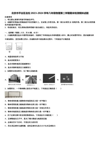 北京市平谷区名校2023-2024学年八年级物理第二学期期末检测模拟试题含解析.doc