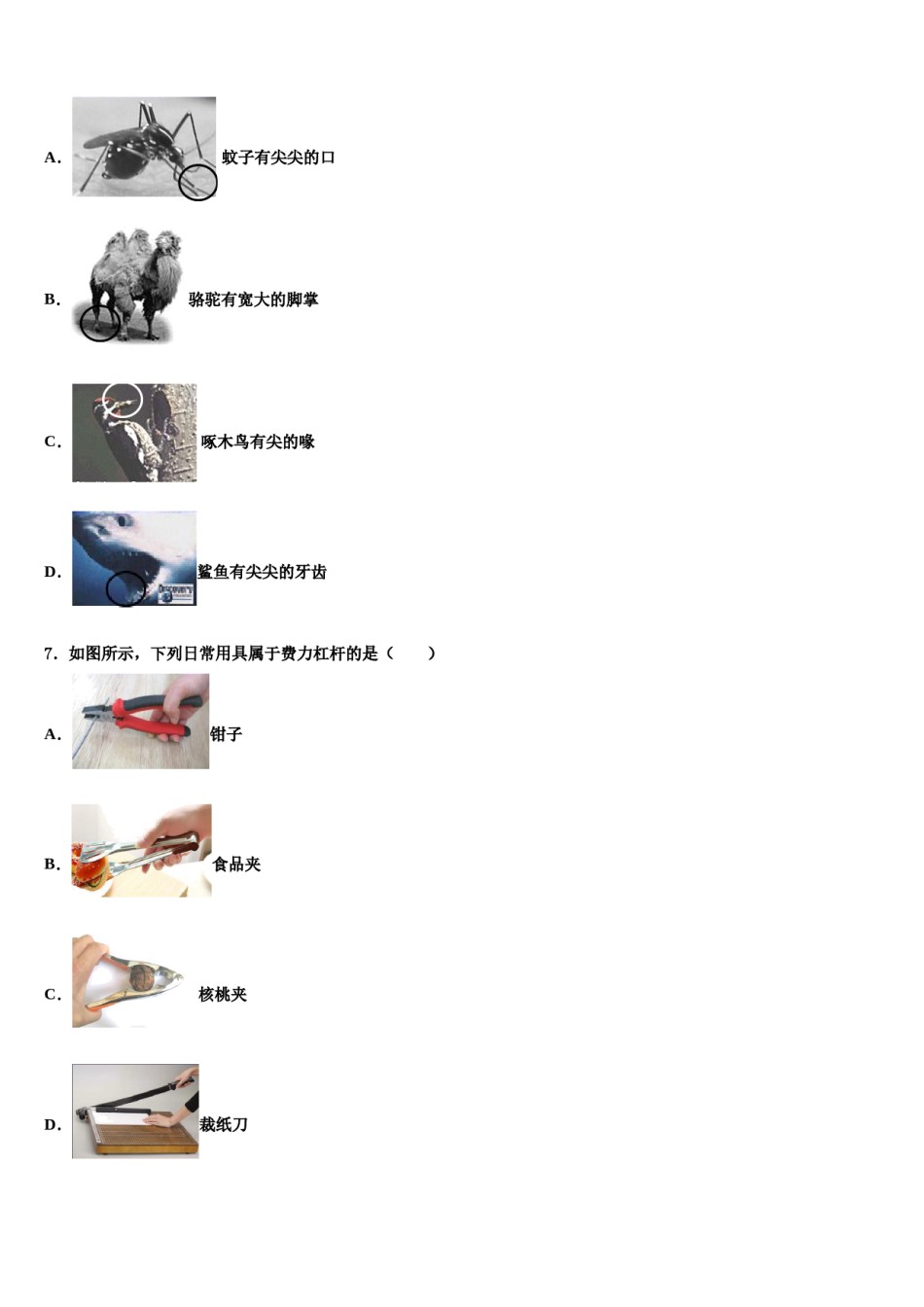 北京市石景山区景山学校2023-2024学年八下物理期末质量检测试题含解析.doc_第2页