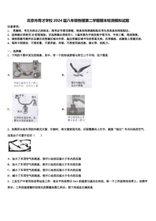 北京市育才学校2024届八年级物理第二学期期末检测模拟试题含解析.doc