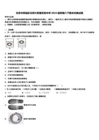 北京市西城区北师大附属实验中学2024届物理八下期末经典试题含解析.doc