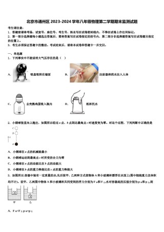 北京市通州区2023-2024学年八年级物理第二学期期末监测试题含解析.doc