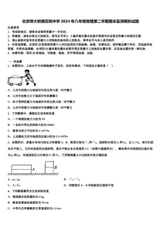 北京师大附属实验中学2024年八年级物理第二学期期末监测模拟试题含解析.doc