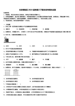 北京朝阳区2024届物理八下期末统考模拟试题含解析.doc