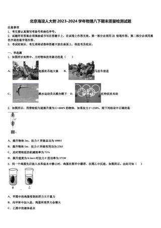 北京海淀人大附2023-2024学年物理八下期末质量检测试题含解析.doc