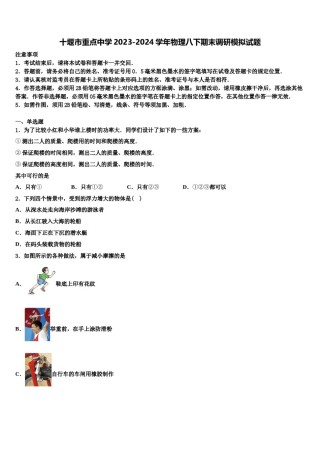 十堰市重点中学2023-2024学年物理八下期末调研模拟试题含解析.doc