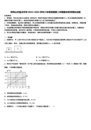 双鸭山市重点中学2023-2024学年八年级物理第二学期期末联考模拟试题含解析.doc